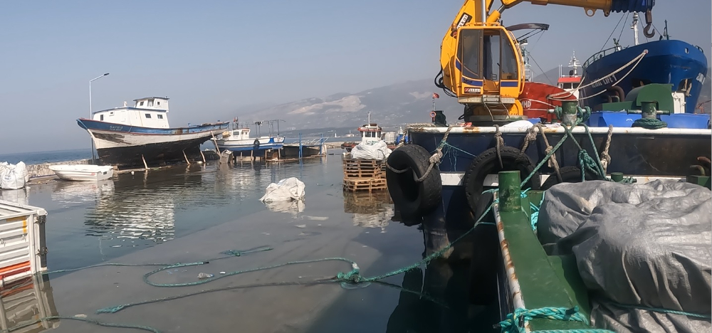 Balıkçıların Deprem Sonrası Mağduriyetleri Daha da Arttı